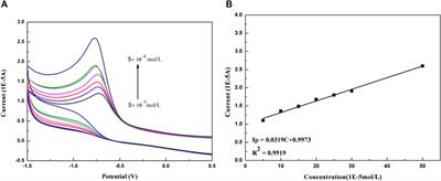 Electrochemical Behavior and Direct Quantitative Determination of Paclitaxel